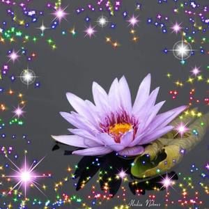 Meet your Posher, Ha